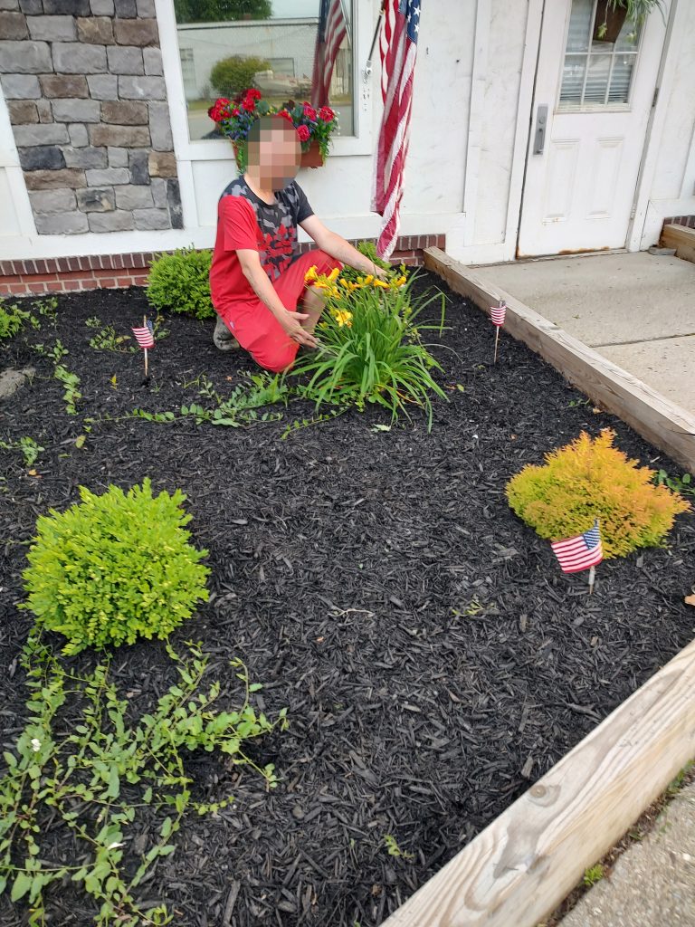 Alpine Springs Clients participating in therapeutic gardening as part of addiction recovery at Alpine Springs