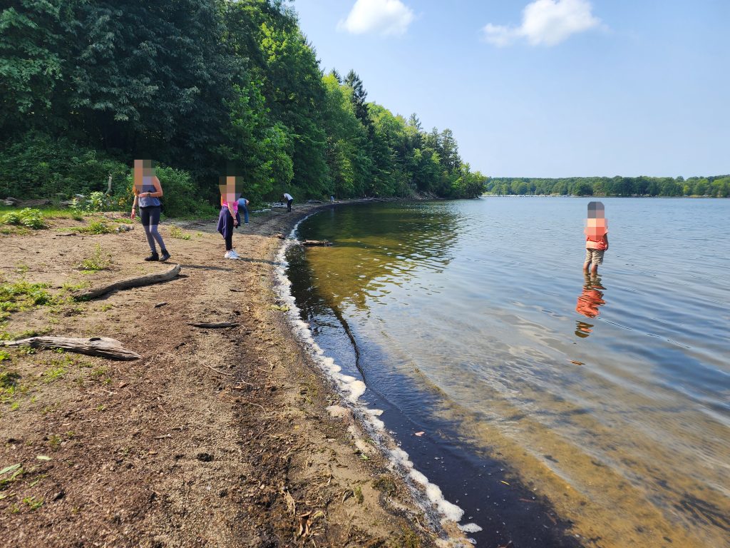 Guided nature walk promoting mindfulness and recovery at Alpine Springs residential treatment