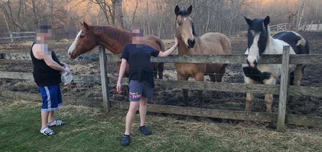 Alpine Springs Equestrian therapy session supporting emotional healing and addiction recovery at Alpine Springs
