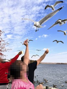 Clients feeding birds and fish at Pymatuning Lake during addiction recovery at Alpine Springs